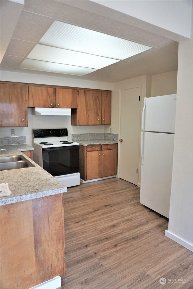 kitchen with light wood-type flooring, white appliances, and sink