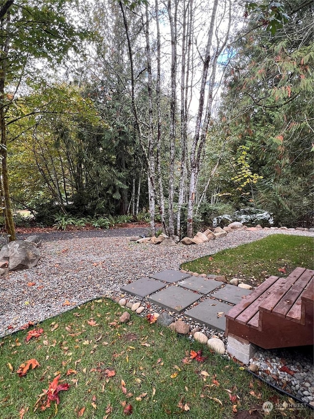 16818 57th St NW, Vaughn, WA 98394 - view of yard