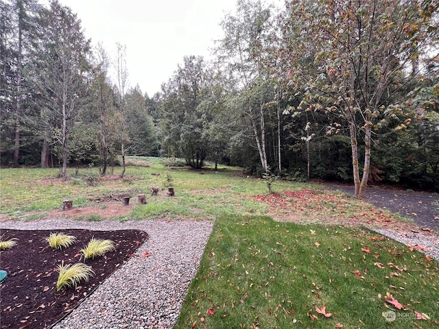 16818 57th St NW, Vaughn, WA 98394 - view of grassy yard with a wooded view