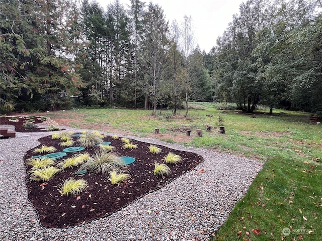 16818 57th St NW, Vaughn, WA 98394 - view of grassy yard