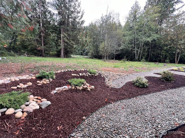 16818 57th St NW, Vaughn, WA 98394 - view of yard featuring a wooded view