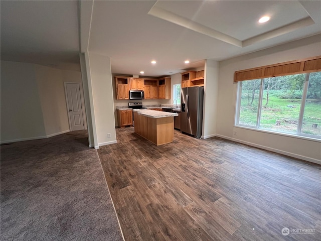 kitchen featuring a raised ceiling, sink, a kitchen island, dark hardwood / wood-style flooring, and stainless steel appliances