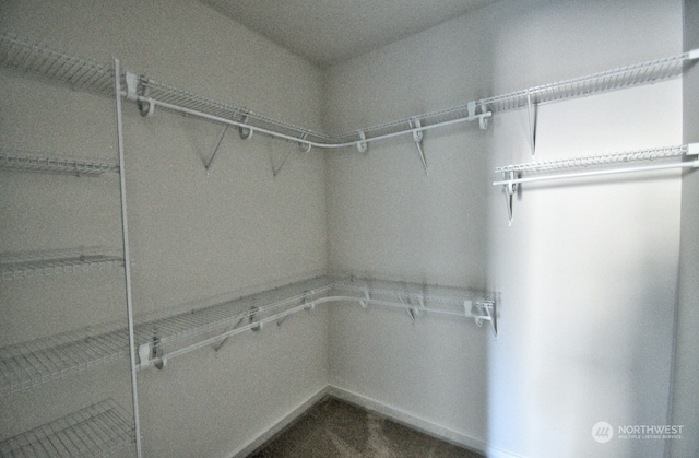 view of spacious closet