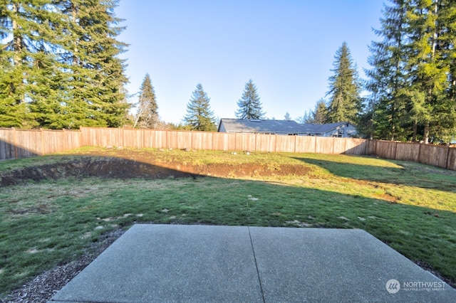 view of yard featuring a patio