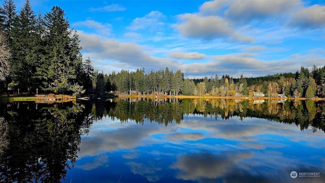 property view of water featuring a forest view