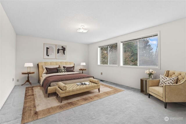 bedroom featuring carpet floors and a textured ceiling