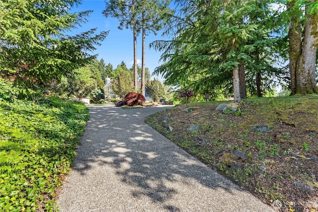 11718 141st St E, Puyallup, WA 98374 - photo 3