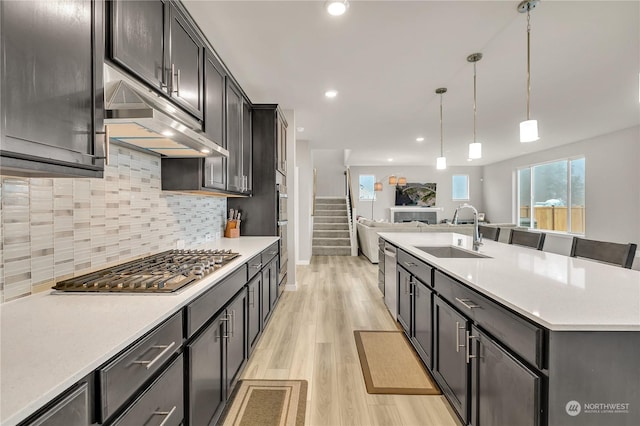 kitchen featuring sink, light hardwood / wood-style flooring, extractor fan, decorative light fixtures, and appliances with stainless steel finishes