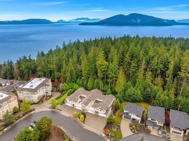 birds eye view of property featuring a water and mountain view