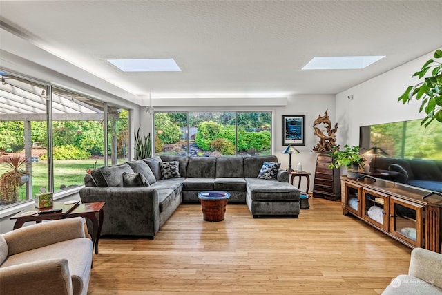 309 E State Route 4, Cathlamet, WA 98612 - living area with a skylight and light wood finished floors