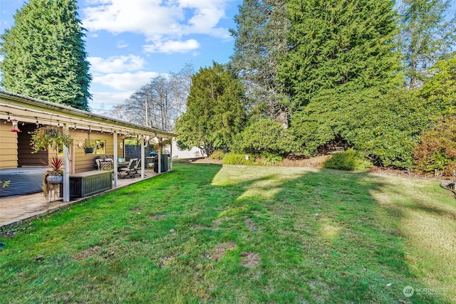 view of yard with a patio area