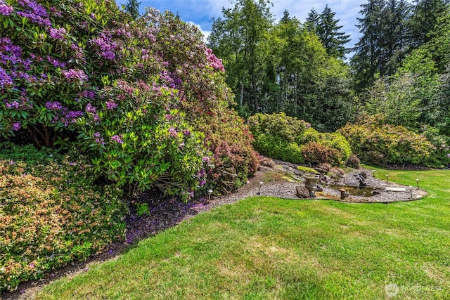 309 E State Route 4, Cathlamet, WA 98612 - view of green lawn