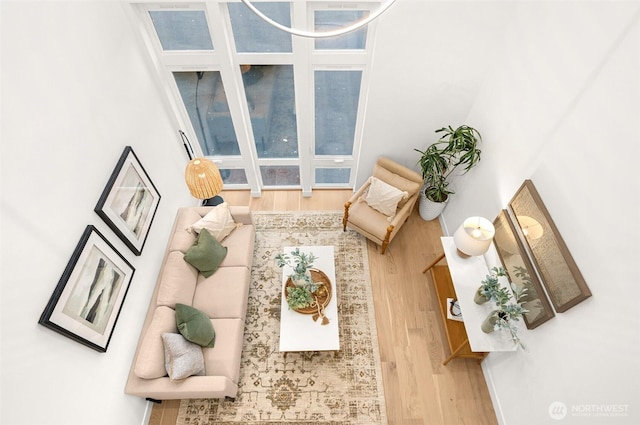 living room with wood finished floors