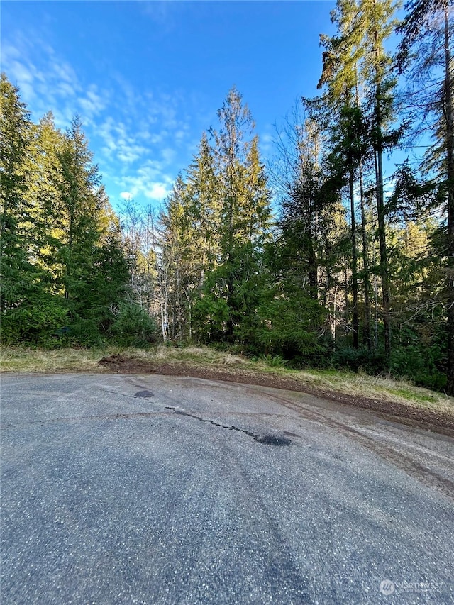 240 E Peebles Ct, Shelton WA, 98584 land for sale