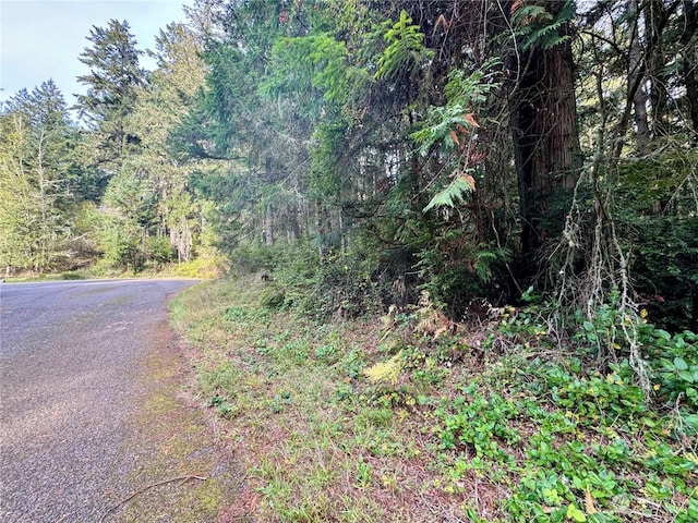 11411 Tillicum Dr, Anderson Island, WA 98303 - photo 1