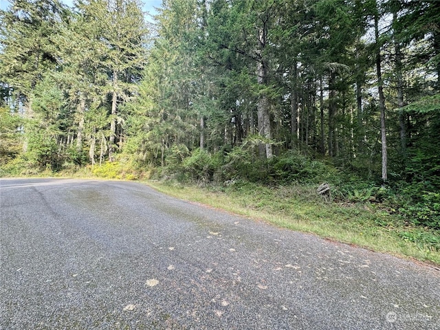 11411 Tillicum Dr, Anderson Island, WA 98303 - photo 2