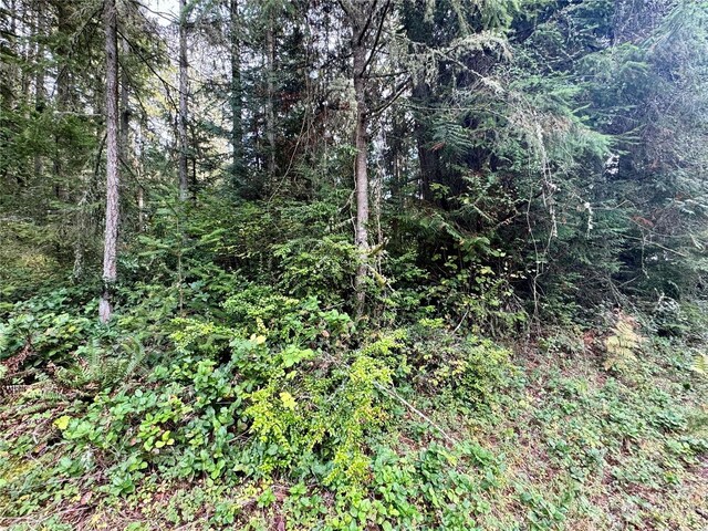 11411 Tillicum Dr, Anderson Island, WA 98303 - photo 4