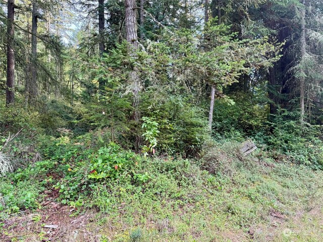 11411 Tillicum Dr, Anderson Island, WA 98303 - photo 5