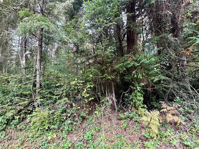 11411 Tillicum Dr, Anderson Island, WA 98303 - photo 6