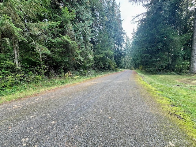 11411 Tillicum Dr, Anderson Island, WA 98303 - photo 7