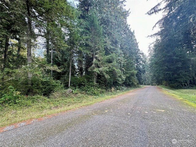 11411 Tillicum Dr, Anderson Island, WA 98303 - photo 8