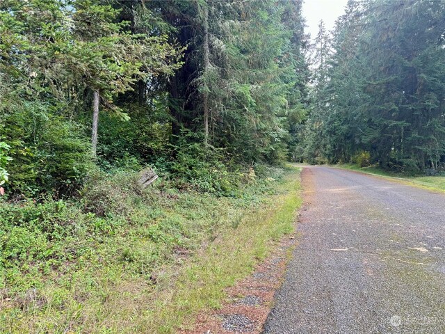 11411 Tillicum Dr, Anderson Island, WA 98303 - photo 9