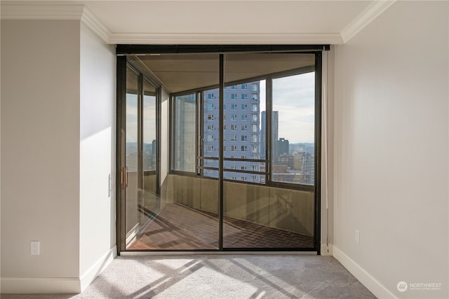 interior space with carpet and crown molding