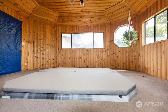 misc room featuring wood walls, lofted ceiling, a healthy amount of sunlight, and wood ceiling