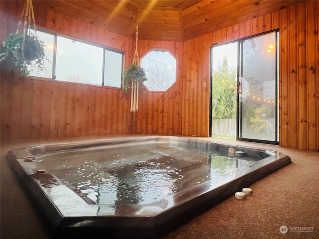 interior space with a jacuzzi, plenty of natural light, carpet floors, and wood walls