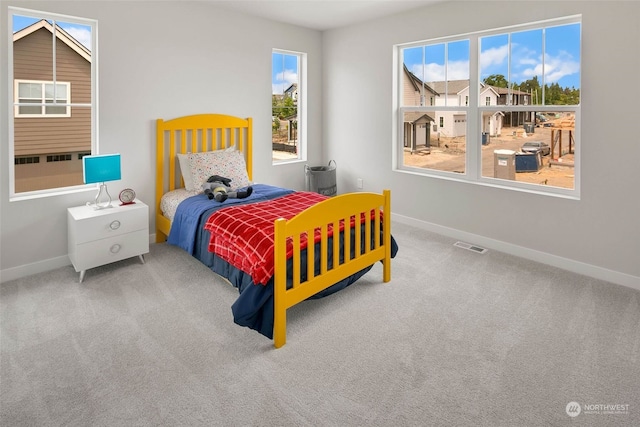 bedroom with carpet flooring