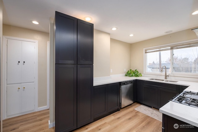 kitchen featuring dishwasher, sink, and light wood-type flooring