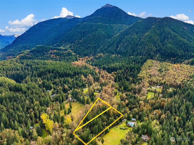 17019 464th Way SE, North Bend WA, 98045 land for sale