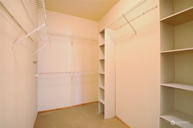 spacious closet with carpet flooring