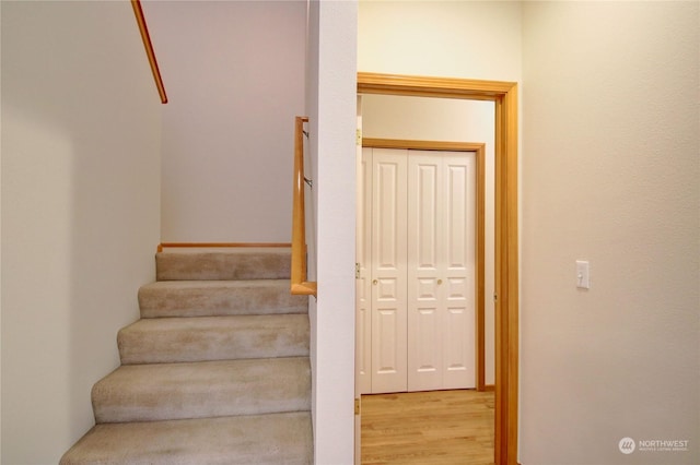 staircase featuring wood-type flooring