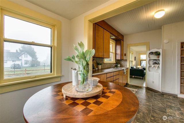 dining area with sink and a healthy amount of sunlight