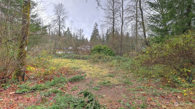 174XX 196th Dr SE, Renton WA, 98058 land for sale