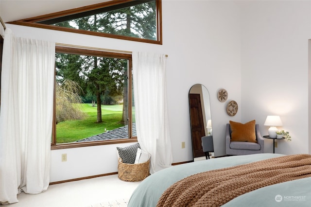 bedroom featuring carpet floors and vaulted ceiling