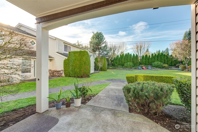 view of yard featuring a patio