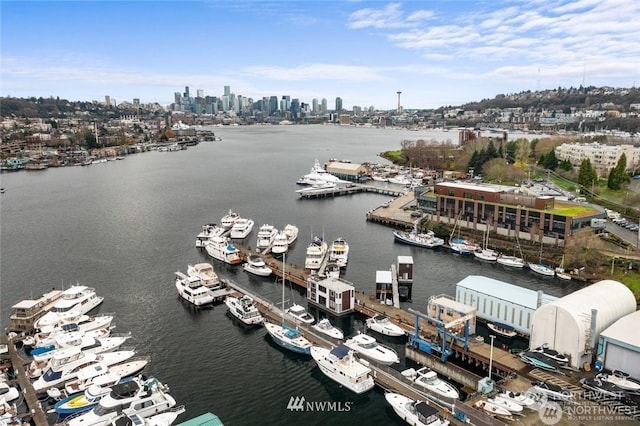 drone / aerial view with a water view