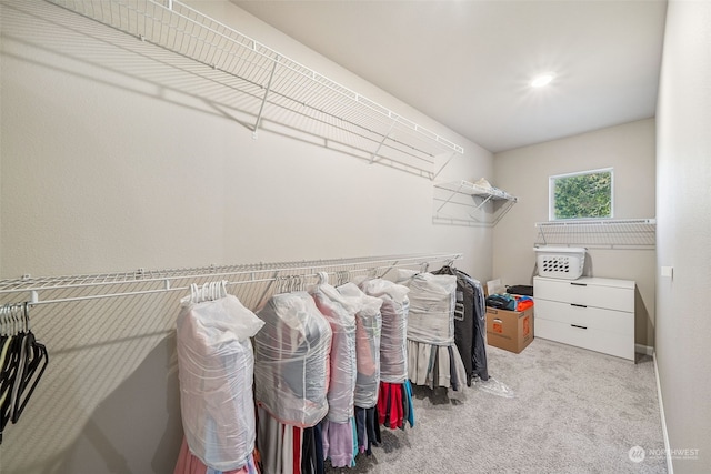 walk in closet with light carpet