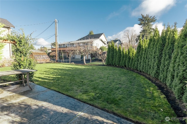 view of yard featuring a patio area and an outdoor structure