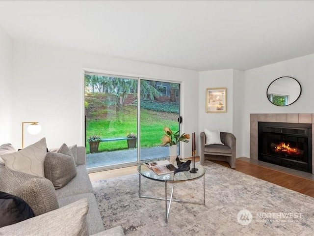 living room featuring a fireplace and wood-type flooring