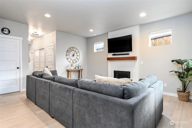 living room with light hardwood / wood-style flooring