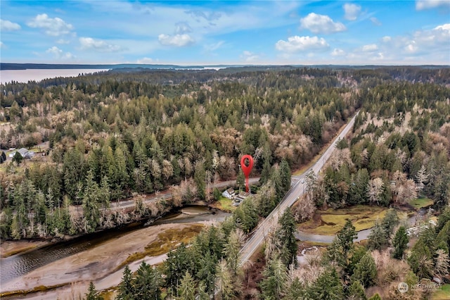 8320 E Grapeview Loop Rd, Allyn, WA 98524 - photo 40