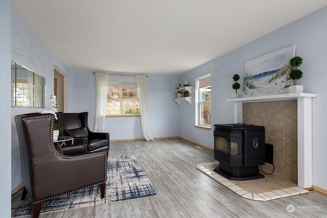 233 Calhoun Loop, Coupeville, WA 98239 - living area with a wood stove, plenty of natural light, wood finished floors, and baseboards