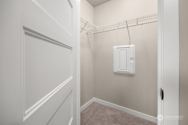 spacious closet with carpet flooring