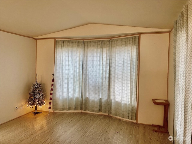 empty room with a healthy amount of sunlight, light hardwood / wood-style floors, and vaulted ceiling