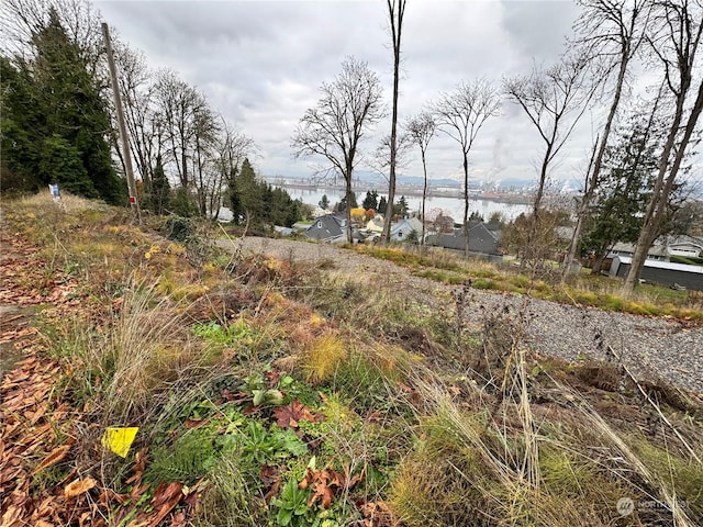 0 E E St, Rainier OR, 97048 land for sale