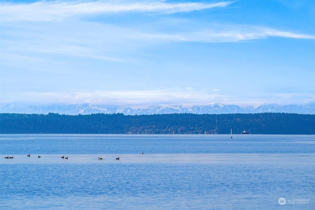 property view of water featuring a mountain view