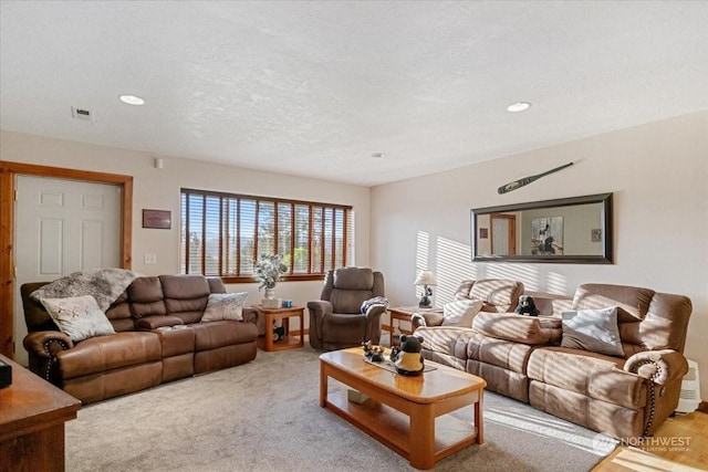 living room featuring a textured ceiling and light colored carpet